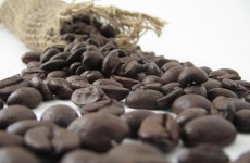 The Quest for the Best Coffee in the World In my travels around the world, there’s one question that always...