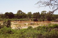 flood