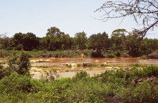 Floods Continue to Devastate Mozambique as South Africa’s Kruger National Park Recovers (VIDEO) Five days ago, Kruger National Park was forced to close after flood...