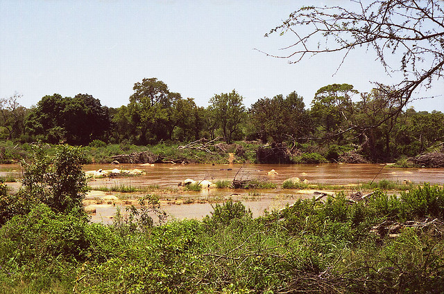 flood