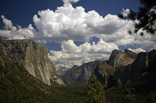 Yosemite Yosemite National Park