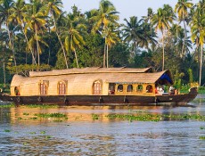 The Backwaters and Hill Stations of Kerala: Top Attractions and Things to Do In two weeks, I will be embarking on a journey to...