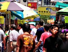This past September, the UN released a report stating that the...