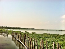 Our Trip to Kerala in a Nutshell Three weeks ago, Anthony an I traveled to Kerala, a southern...