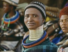 Why Investing in Women Creates a Better World (Infographic) Believe it or not, much of the world’s most critical issues...