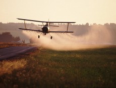 “A fast-spreading plague of “super weeds” taking over U.S. farmland will...