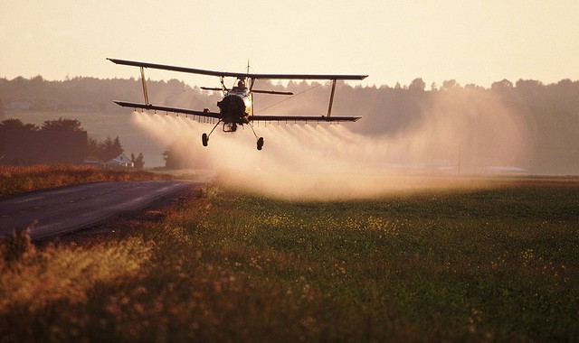 “A fast-spreading plague of “super weeds” taking over U.S. farmland will...