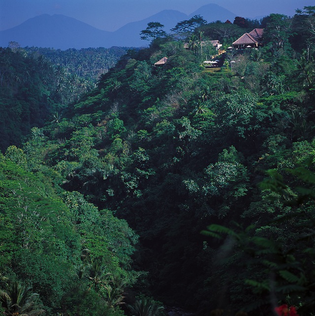 ALILA scenery alilaubud hillside ayung river Get Cultured: Ubud   Exploring Balis Bucolic Artisan Hub