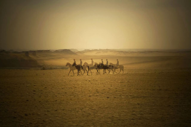 Camel ride pyramids giza
