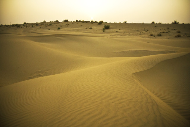 thar Desert