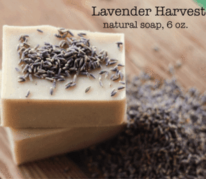 lavender harvest soap