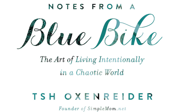 Notes from a Blue Bike Cover 