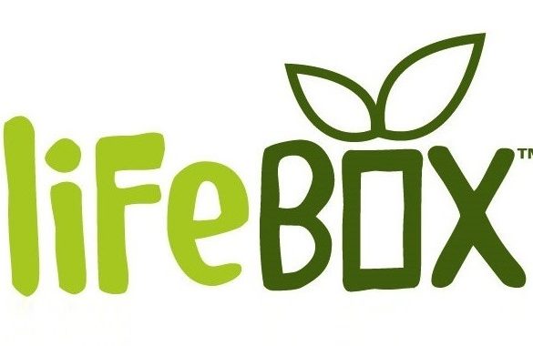 lifebox - growing trees from cardboard