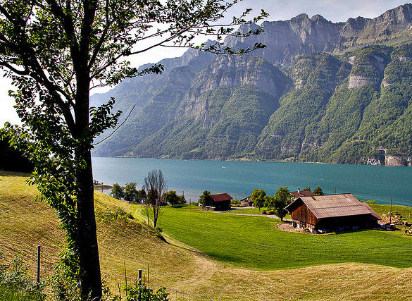 agritourism farmstay