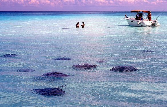 stingray city cayman islands