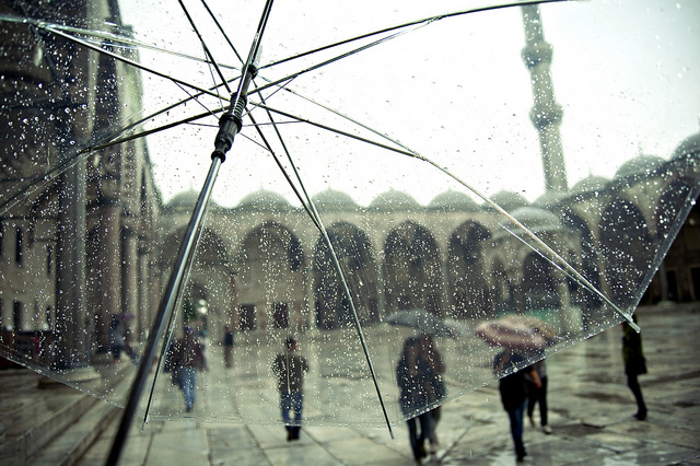 istanbul - blue mosque