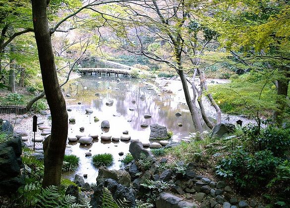 japan garden