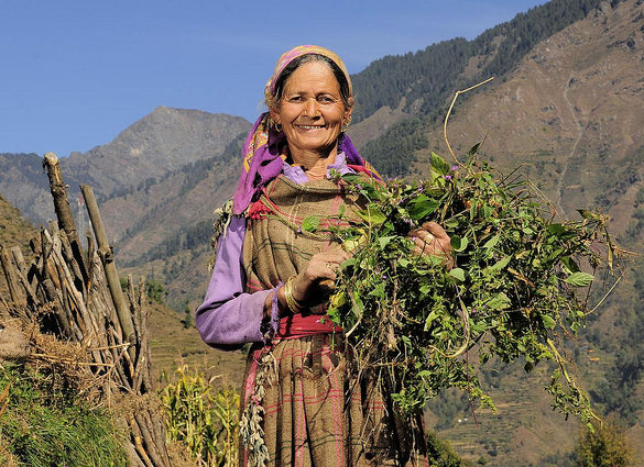 Farmer near Himachal Pradesh, India