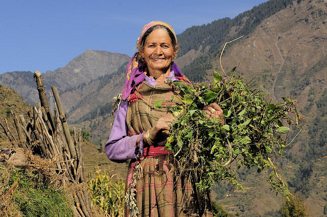 Farmer near Himachal Pradesh, India