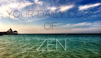 daily dose of zen