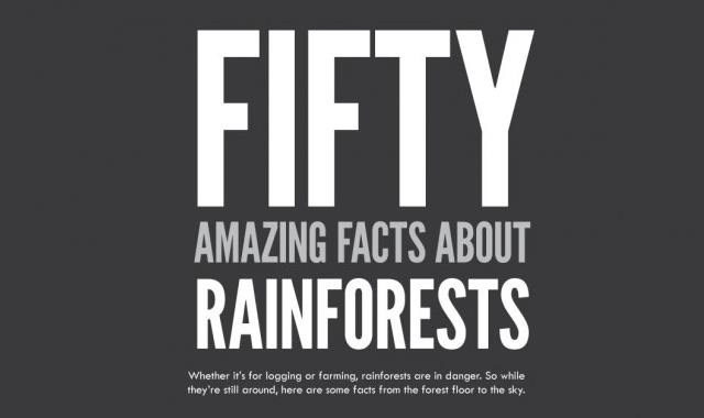 fifty interesting facts about rainforests