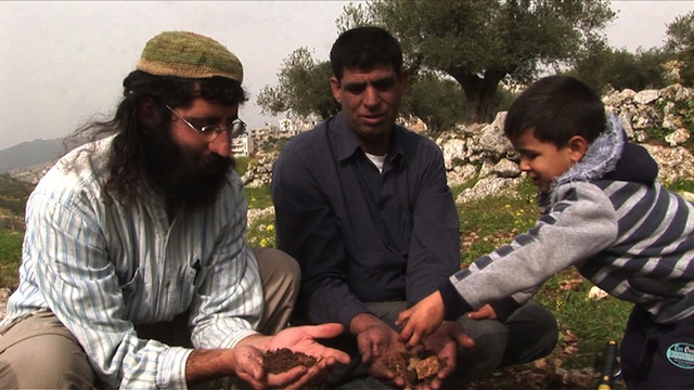 Heaven's Field Shaul, Ziad, Mustafa