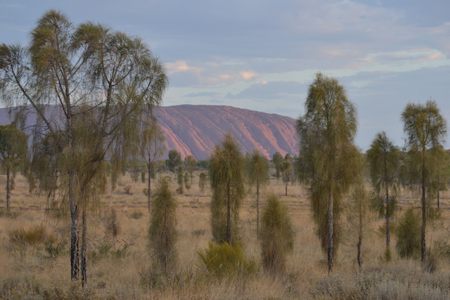 Early evening as Ayer’s Rock begins its daily transformation of colors.