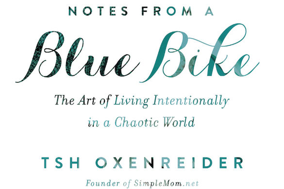 Notes from a Blue Bike Cover