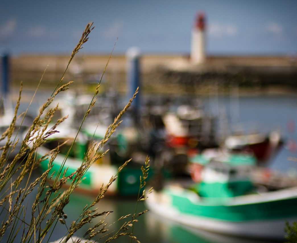 guide to oleron france