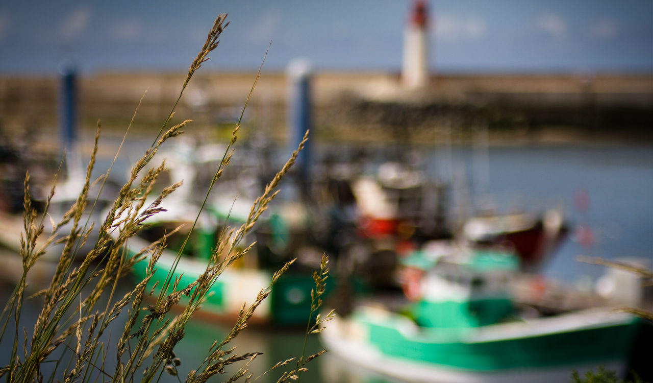 guide to oleron france