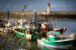 guide to oleron france