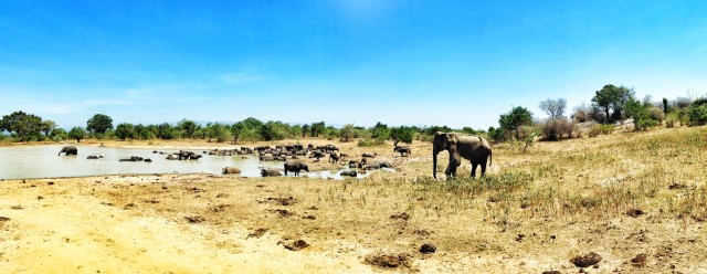 safari in sri lanka