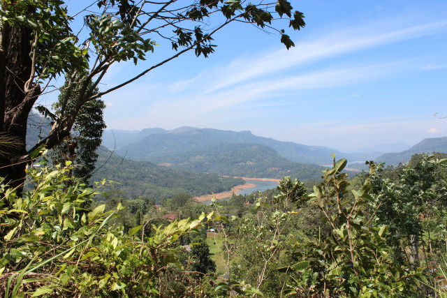 sri lanka tea 2