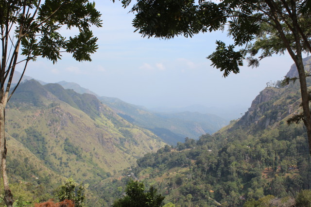 sri lanka tea 6