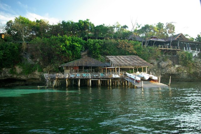 bohol bee farm