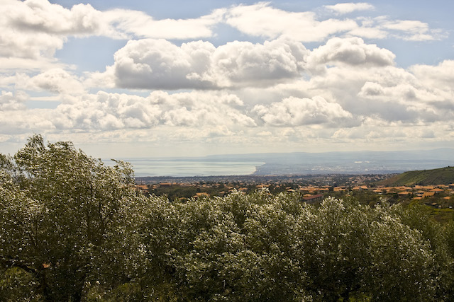 4. OLIVE GROVES ON THE SLOPES OF ETNA