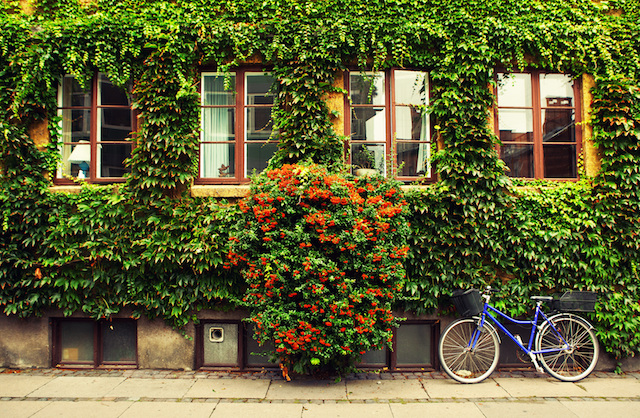 Bicycle in Copenhagen