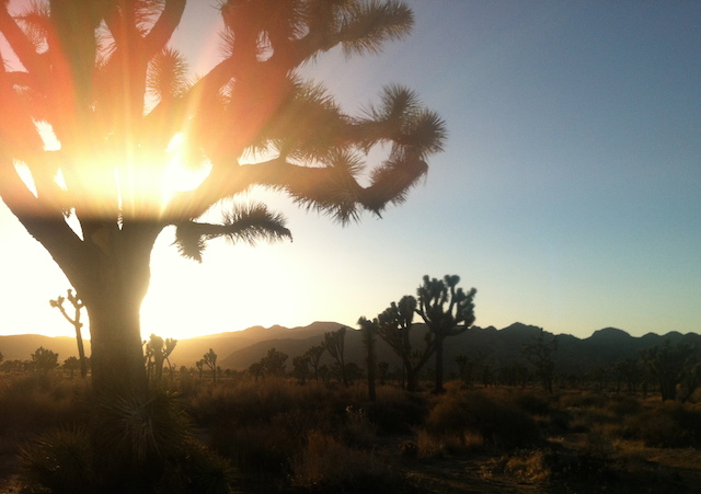 Integratron