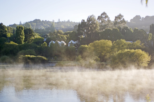 Property Misty Mornings