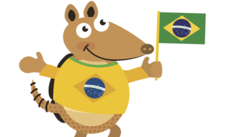 fuleco the armadillo world cup