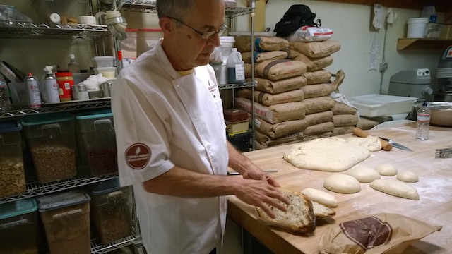 terra momo bread company baker