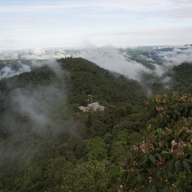 mashpi lodge ecuador