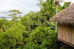 best tree houses