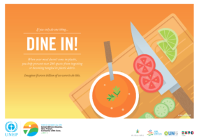 world environment day