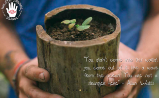 holistic survival school