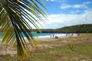Vieques