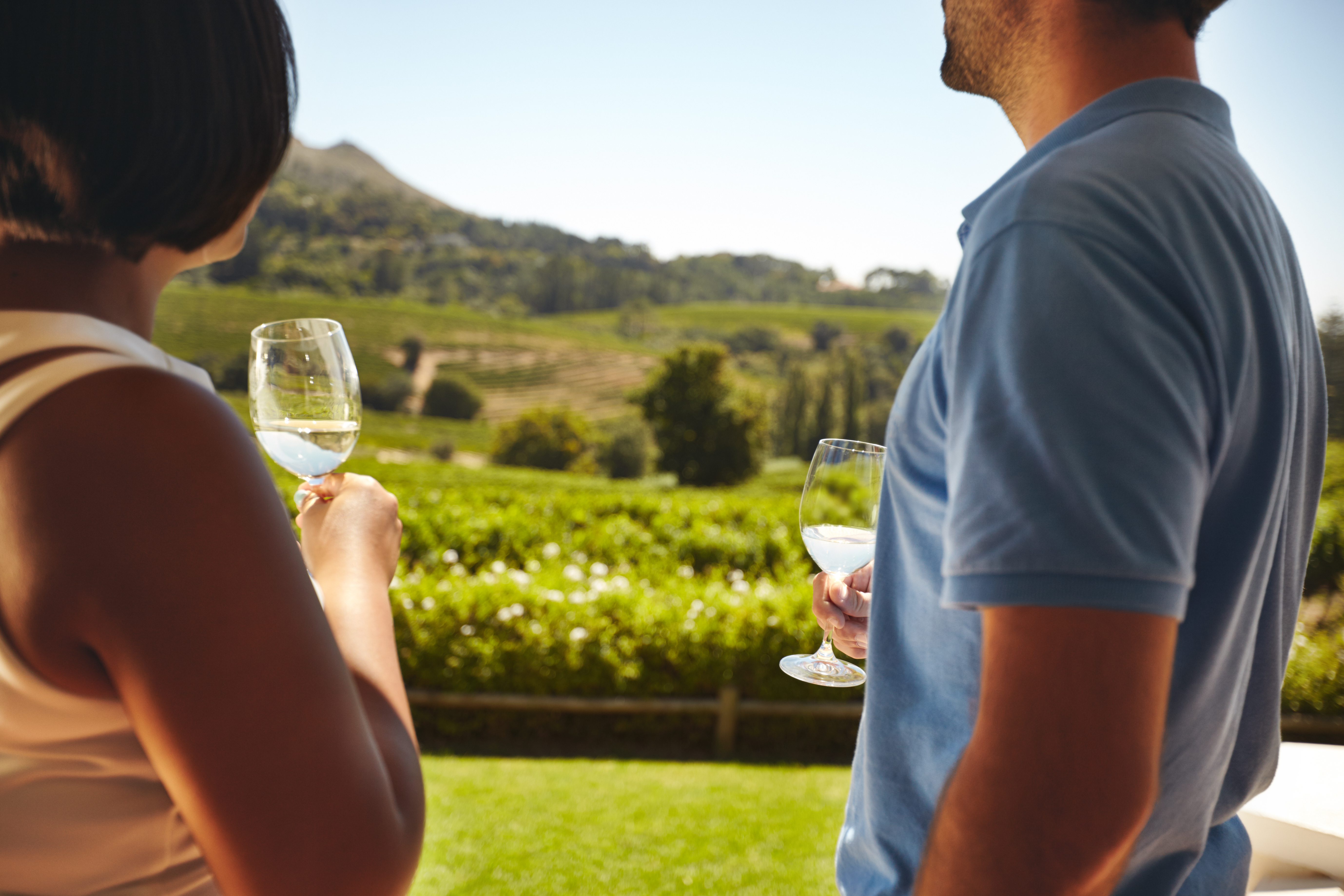 couple holding wine glasses looking out at winery