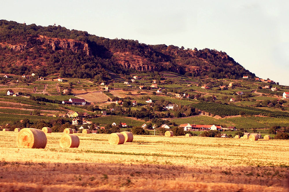 Hungarian Countryside CROP