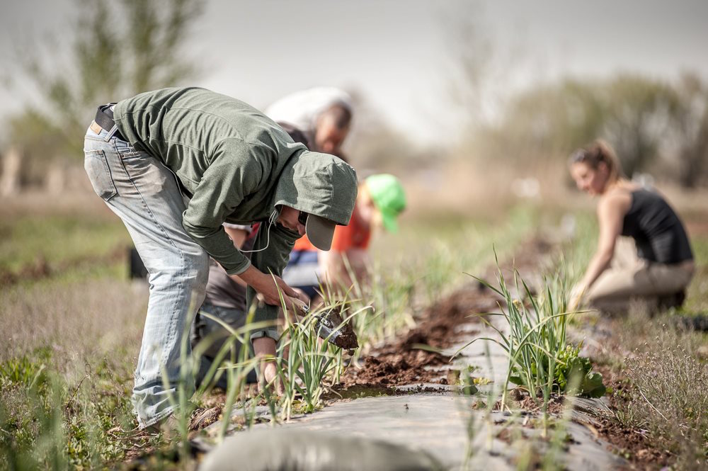 rio grande community farm