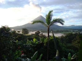 Costa rica permaculture